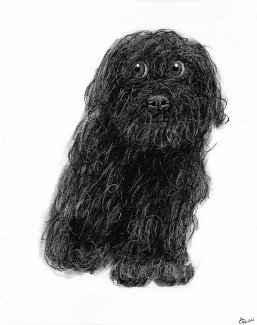 NO AI. hand drawn charcoal drawing cute abstract dog.